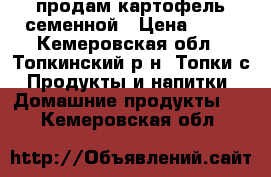 продам картофель семенной › Цена ­ 50 - Кемеровская обл., Топкинский р-н, Топки с. Продукты и напитки » Домашние продукты   . Кемеровская обл.